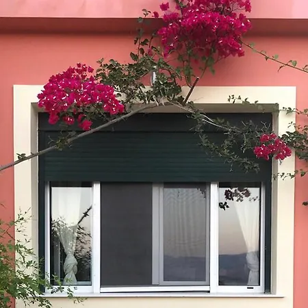 Mitis * ليكسوري